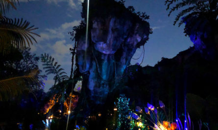 Pandora the World of Avatar at Night
