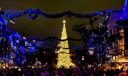 Disneyland 2019 Holiday Crowds