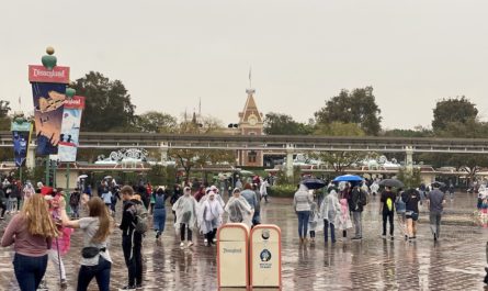 Disneyland rain tips