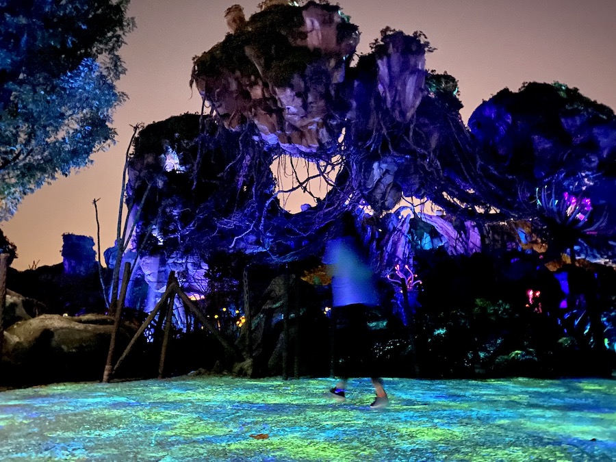 Pandora the World of Avatar at Night
