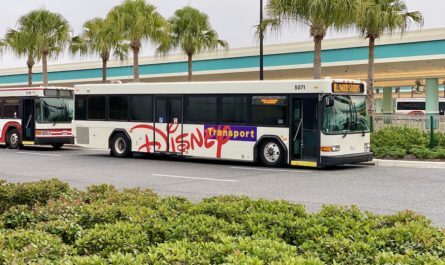 Walt Disney World Busses