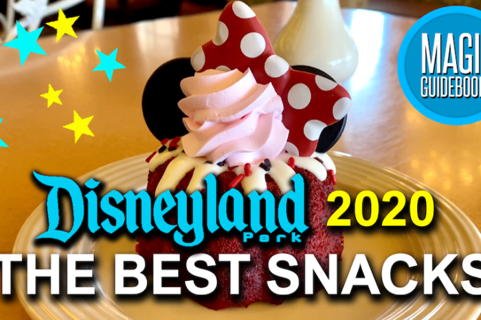 The Best Disneyland Snacks for 2020