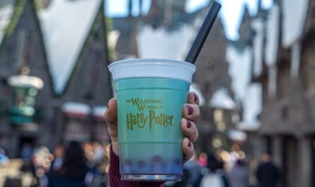 Fishy Green Ale from the Wizarding World of Harry Potter, Universal Studios Hollywood