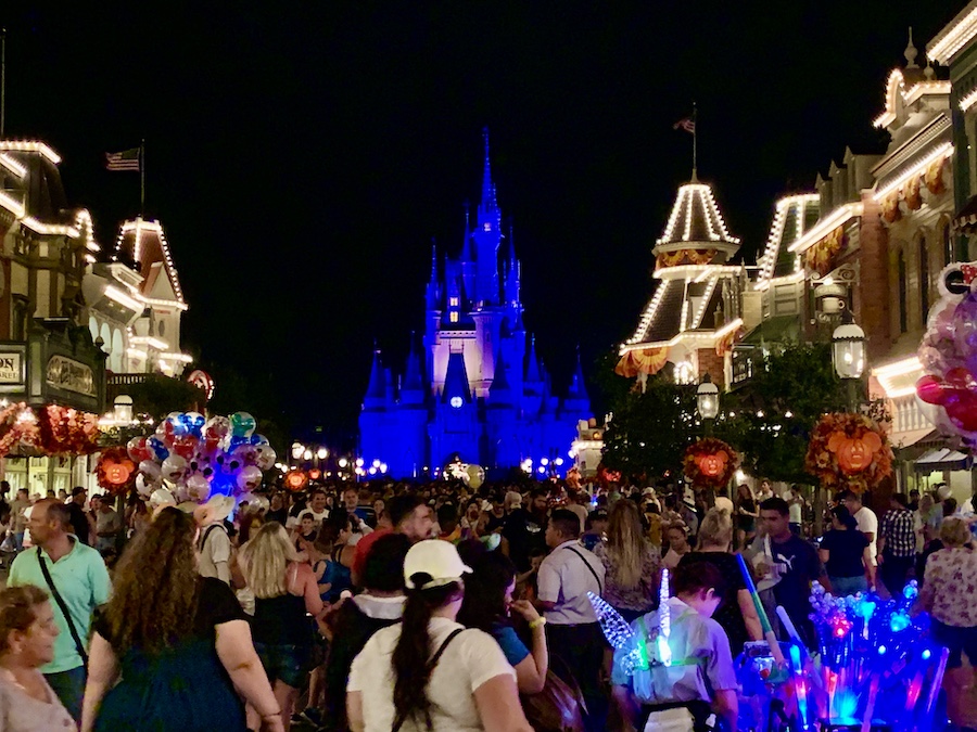 Cinderella Castle during the fall at night