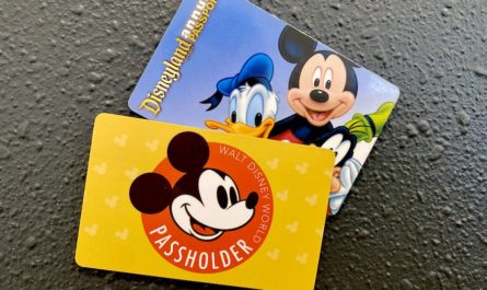 Walt Disney World and Disneyland Annual Passes