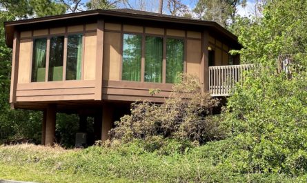 Disney's Saratoga Springs Resort Treehouse Villa