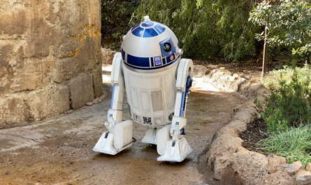 R2D2 in Star Wars Galaxy's Edge (Disneyland)