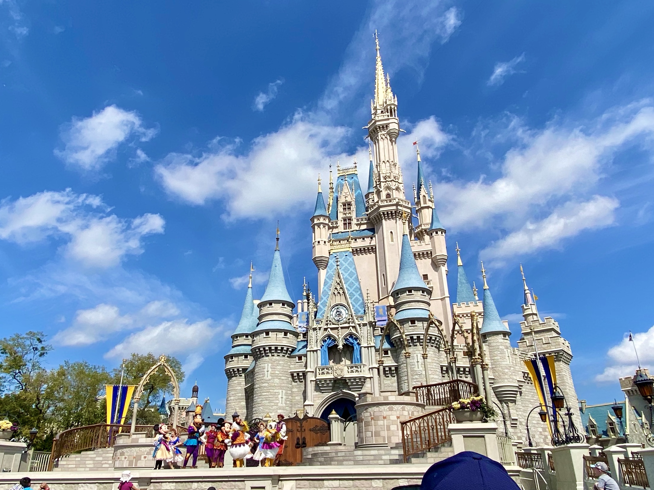 UPDATED: Disney World Park Reservation Details