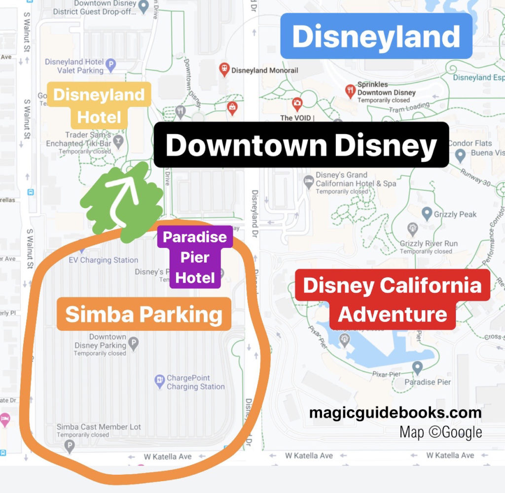 Simba Parking Lot Downtown Disney
