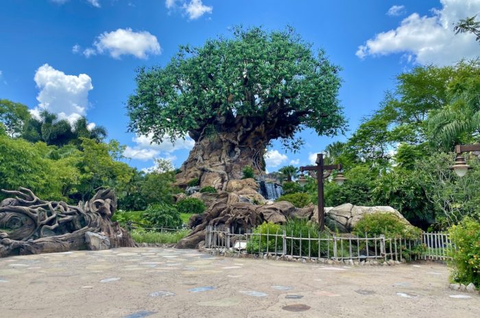 Disney World to Celebrate Earth Month in April 2021
