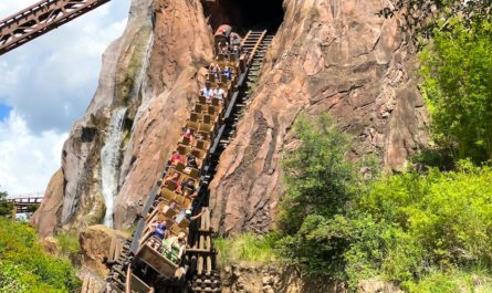 Guests wearing face masks on the Expedition Everest coaster at Disney's Animal Kingdom