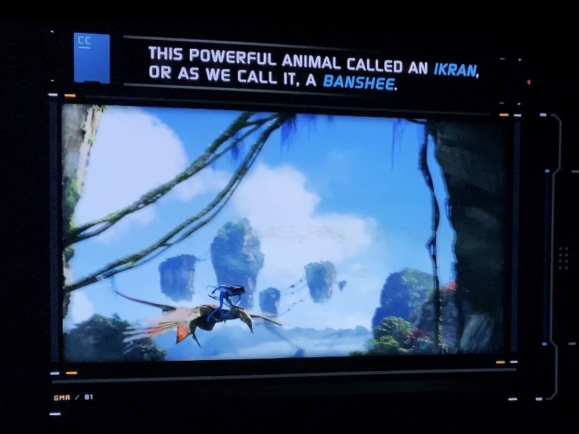 AVATAR Flight of Passage instruction screen