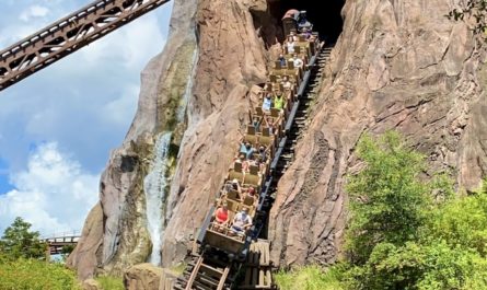 Expedition Everest roller coaster at Disney's Animal Kingdom