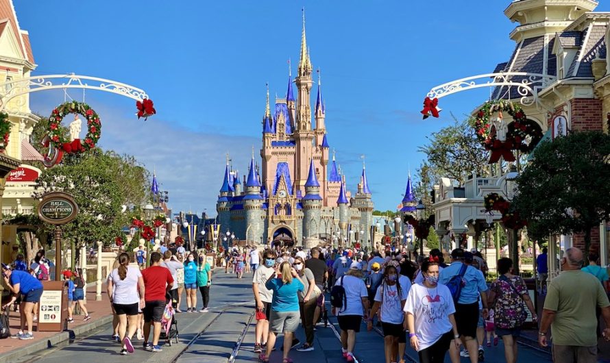 Cheshire Cat Tails Are Back at the Magic Kingdom! - Magic Guidebooks