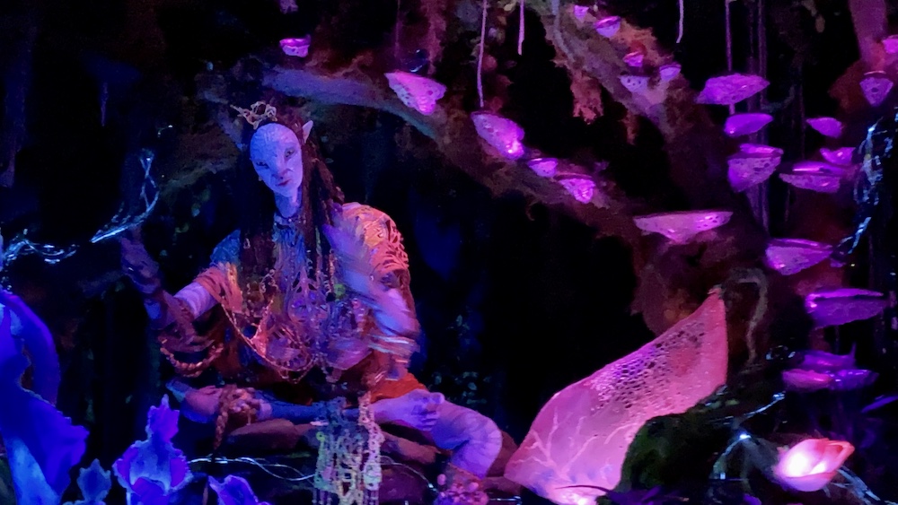 Na'vi River Journey at Disney's Animal Kingdom