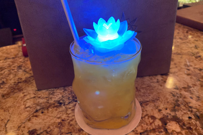 Disney Bar Review: The Amazing Nomad Lounge in Animal Kingdom