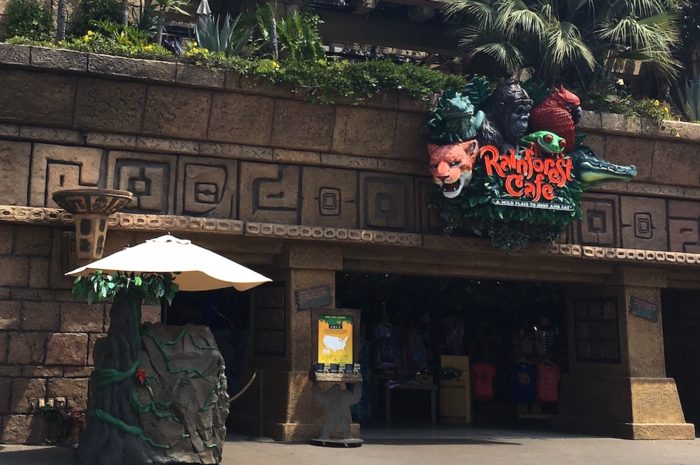 Star Wars Trading Post Replacing Rainforest Cafe