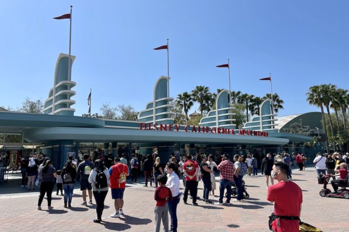 Can I Pay with Cash at the Disneyland Resort?