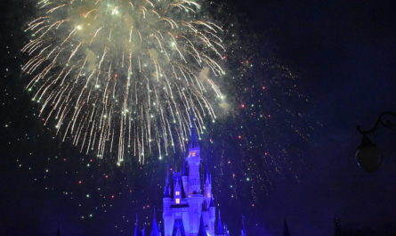 Fireworks over Cinderella Caste at the Magic Kingdom in Walt Disney World