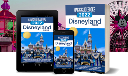 Disneyland 2022 Guide