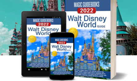 Disney World 2022 Guide